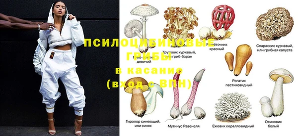 винт Алексин