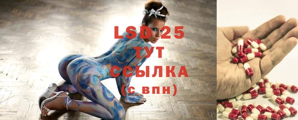 винт Алексин