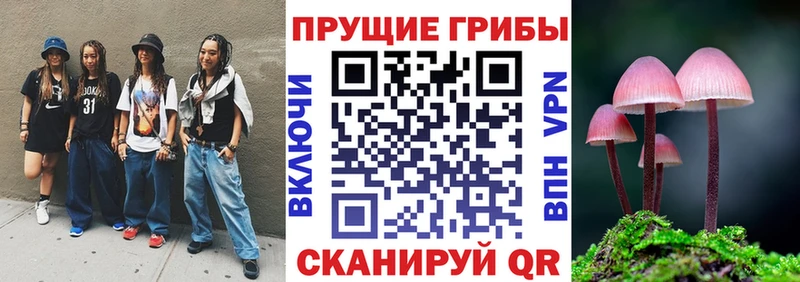 Псилоцибиновые грибы мухоморы  закладки  Курганинск 