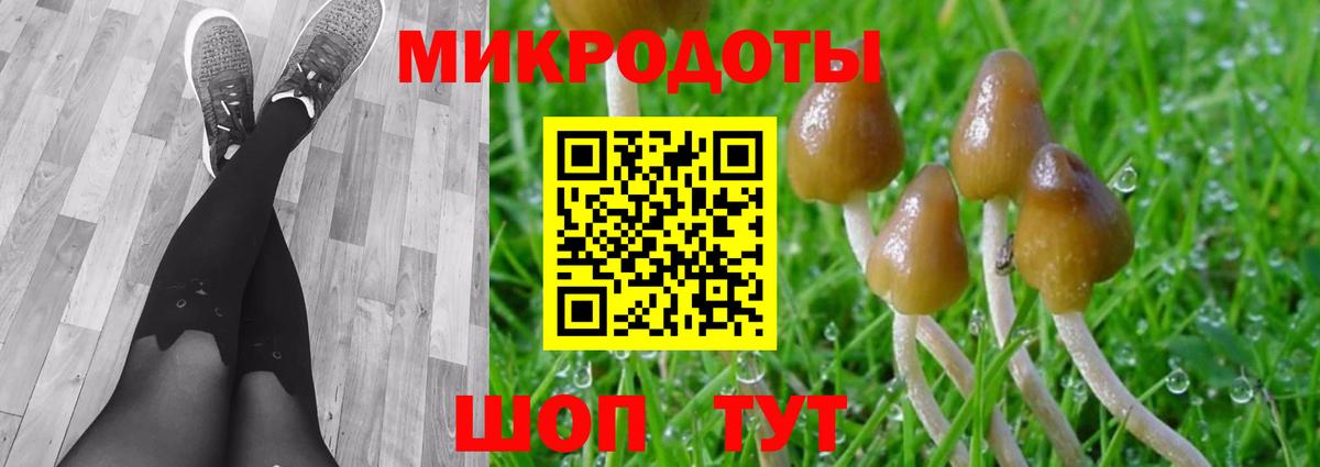 Курганинск  Псилоцибиновые грибы GOLDEN TEACHER  наркотики  Вход с VPN 